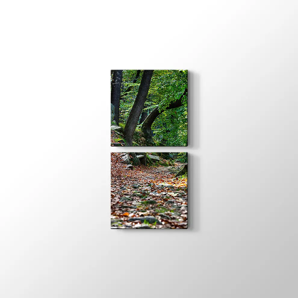 Bode Vadisi Kanvas Tablo