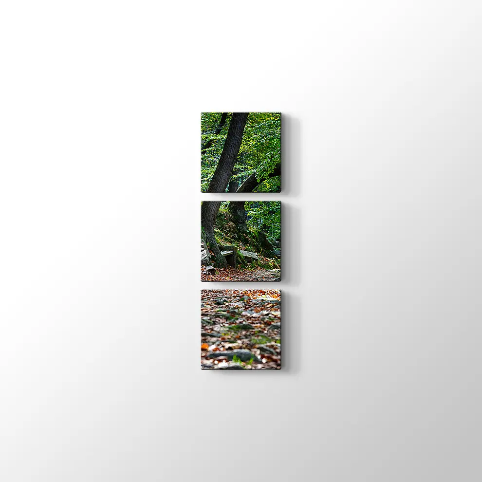 Bode Vadisi Kanvas Tablo