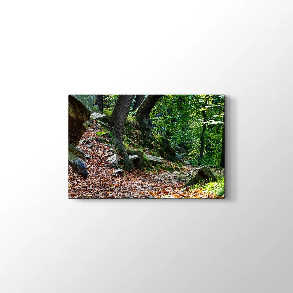 Bode Vadisi Kanvas Tablo