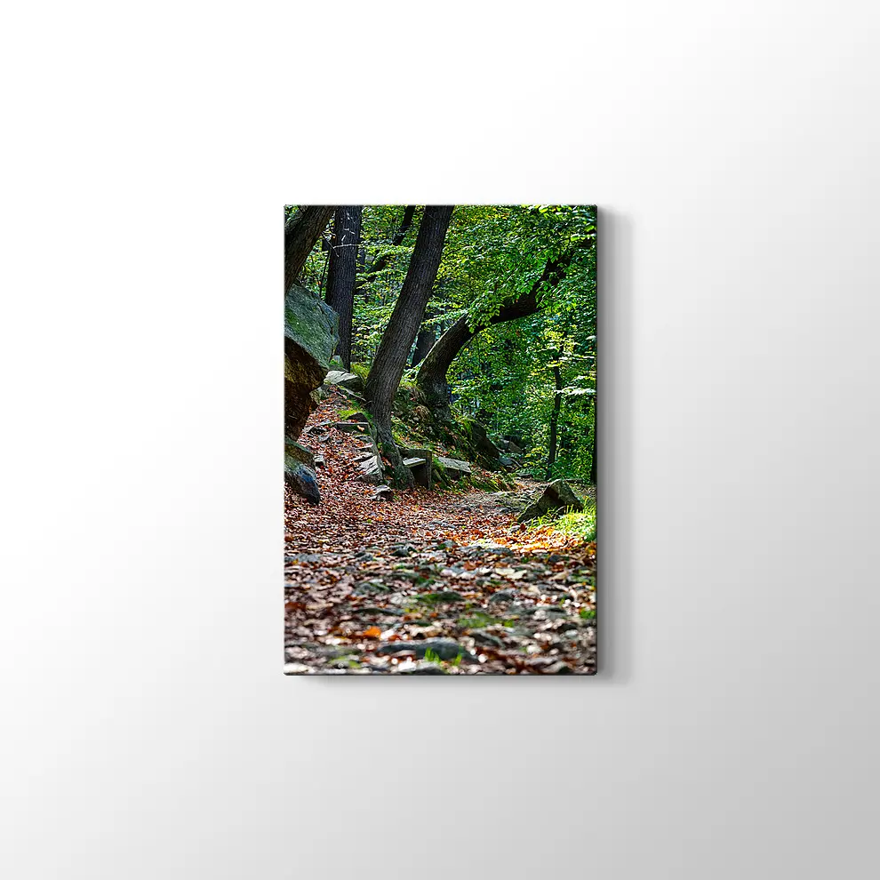 Bode Vadisi Kanvas Tablo