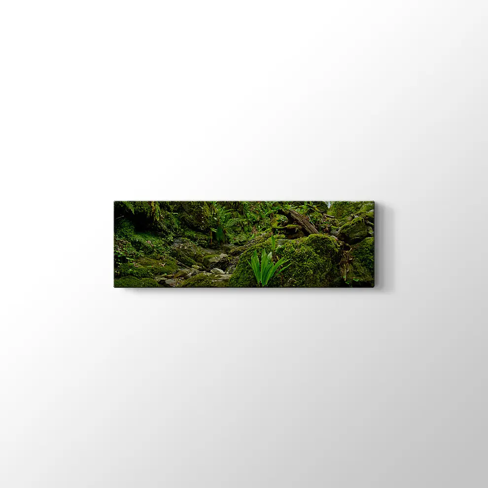 Yeşil Orman Kanvas Tablo