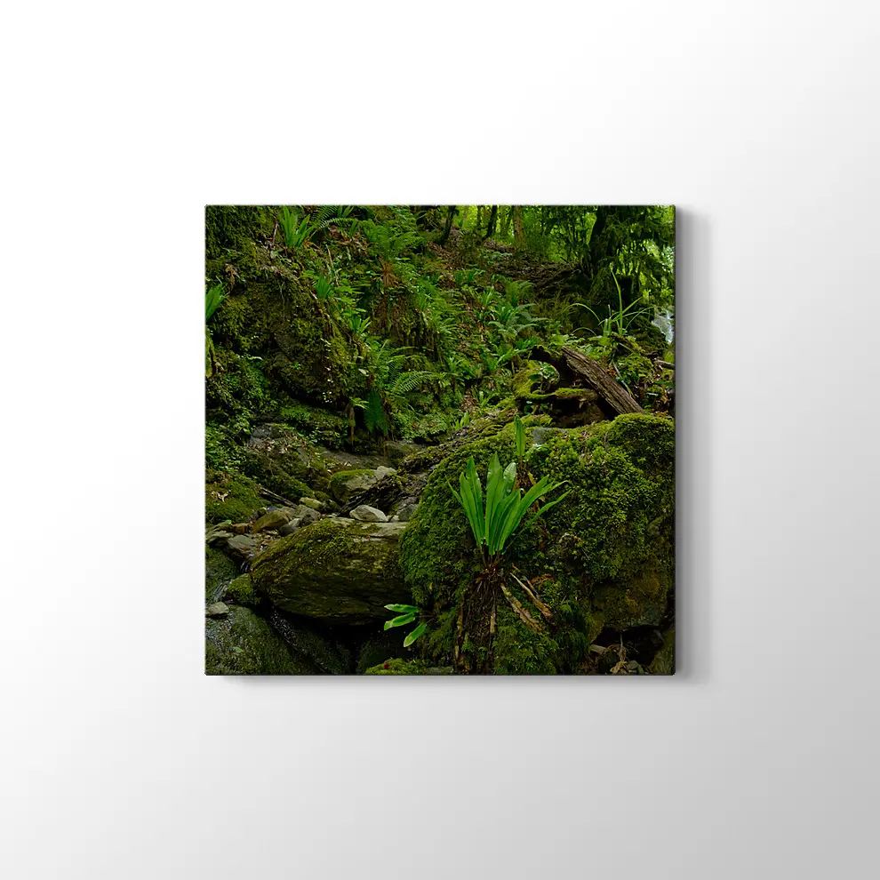 Yeşil Orman Kanvas Tablo