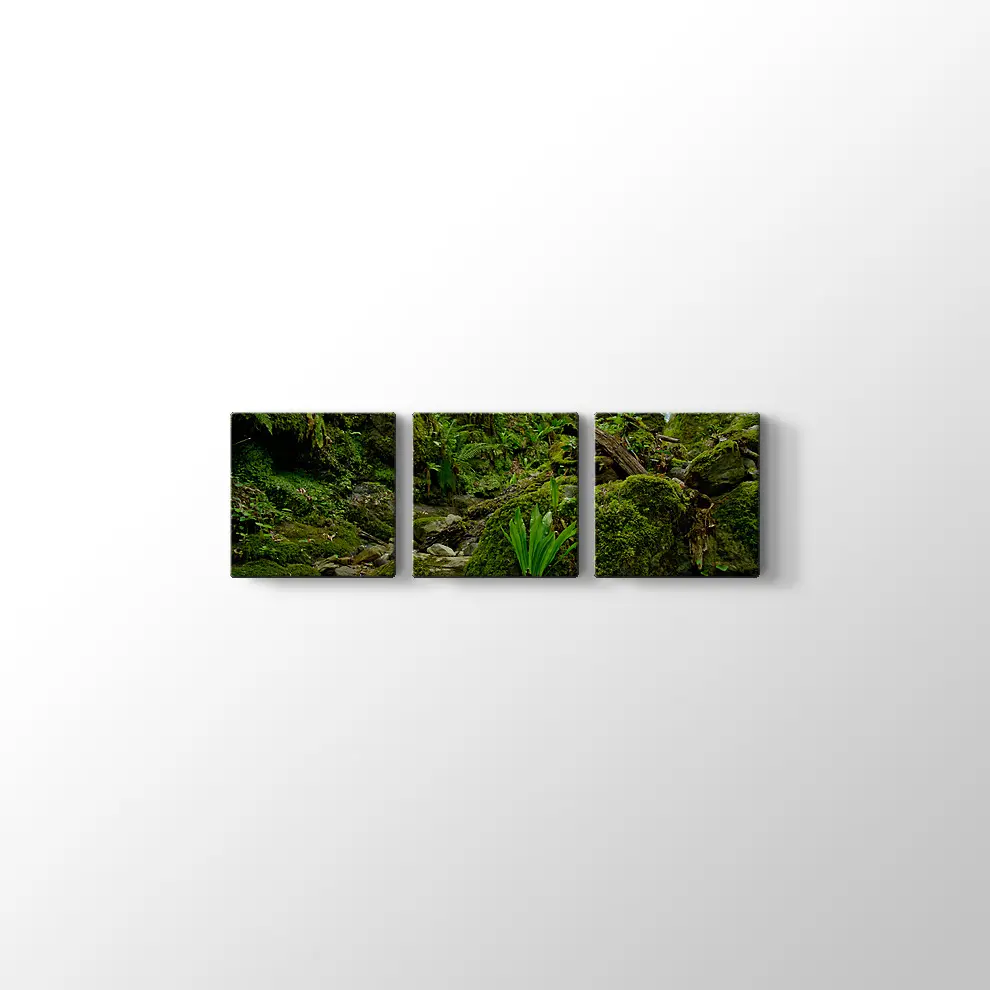 Yeşil Orman Kanvas Tablo