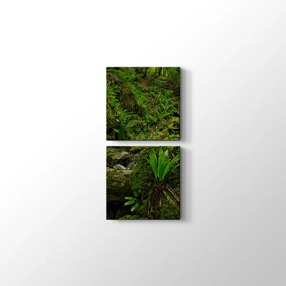 Yeşil Orman Kanvas Tablo