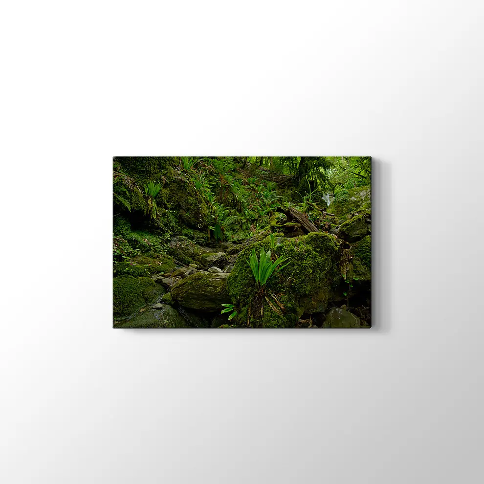 Yeşil Orman Kanvas Tablo