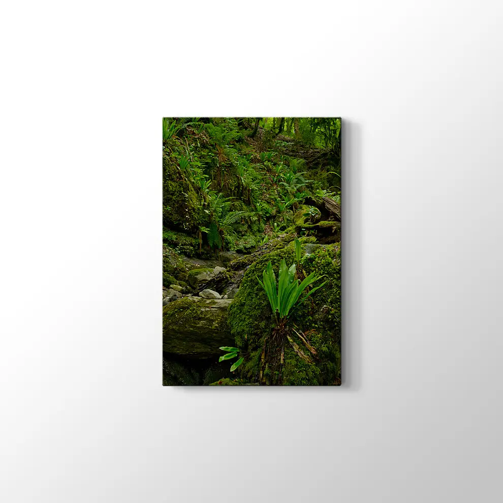 Yeşil Orman Kanvas Tablo