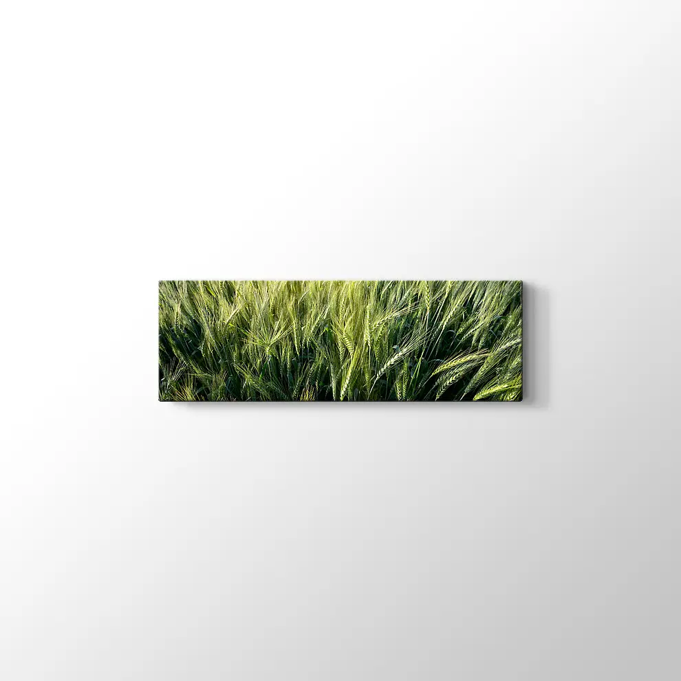 Yeşillik Kanvas Tablo