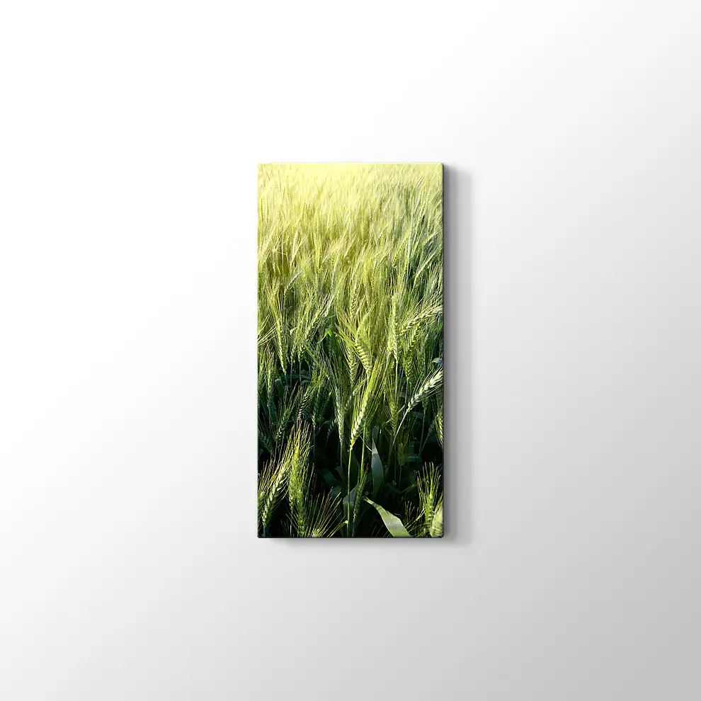 Yeşillik Kanvas Tablo