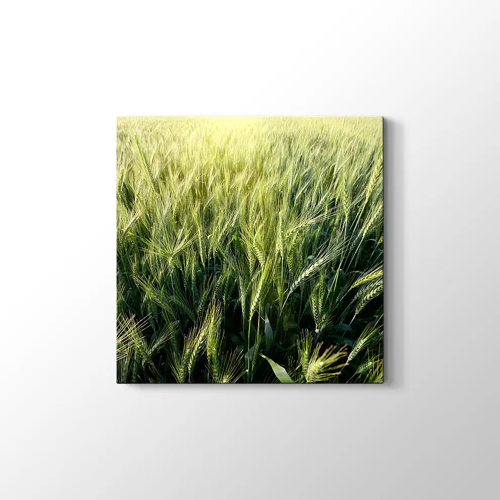 Yeşillik Kanvas Tablo