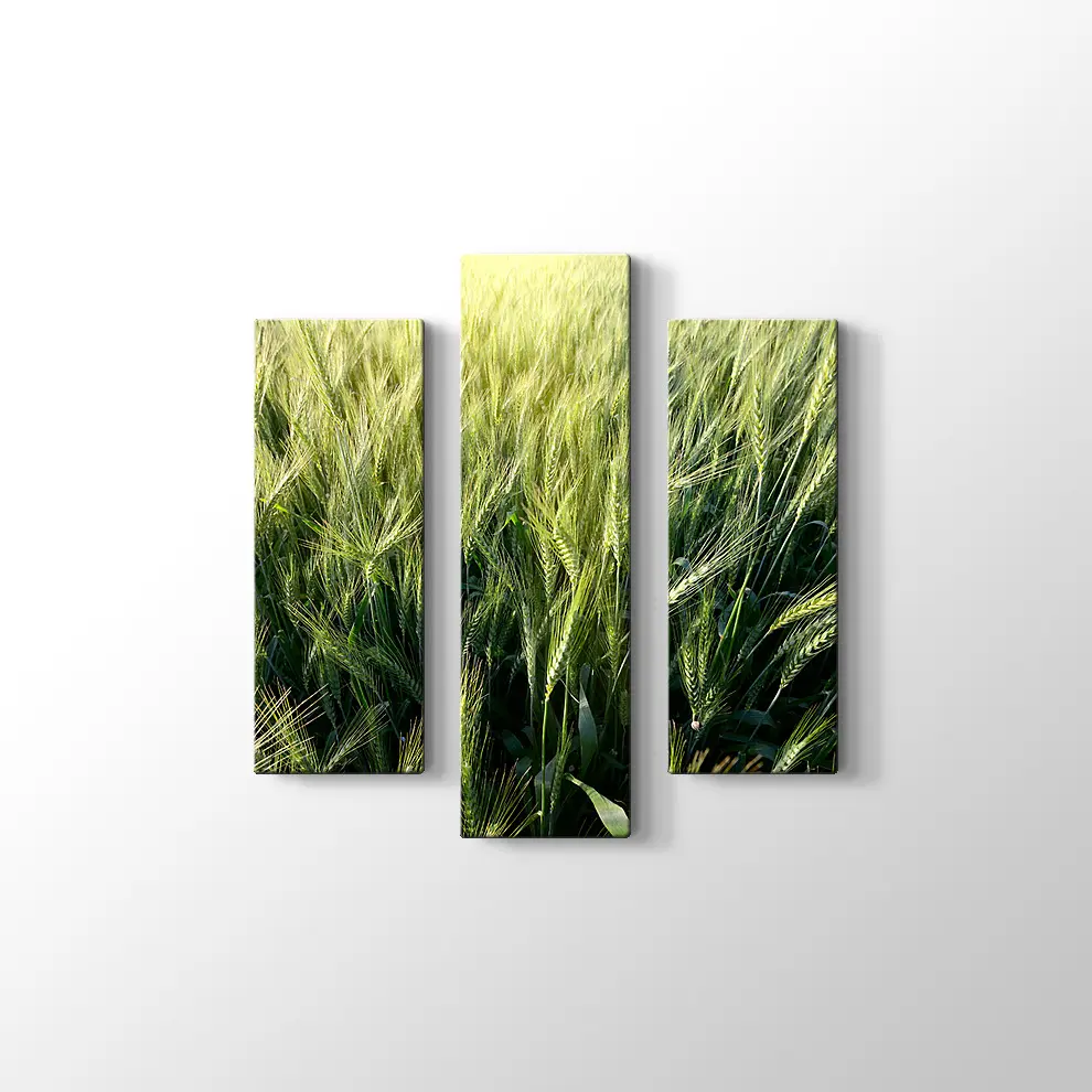 Yeşillik Kanvas Tablo