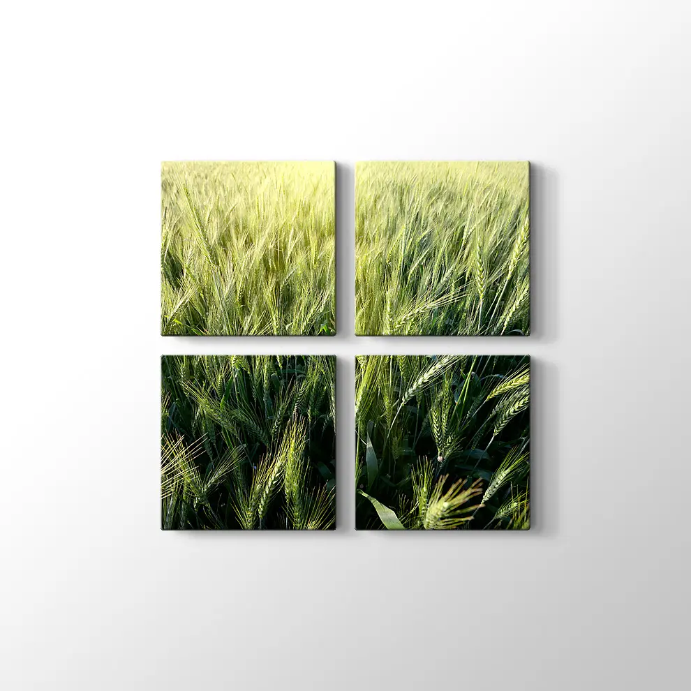 Yeşillik Kanvas Tablo