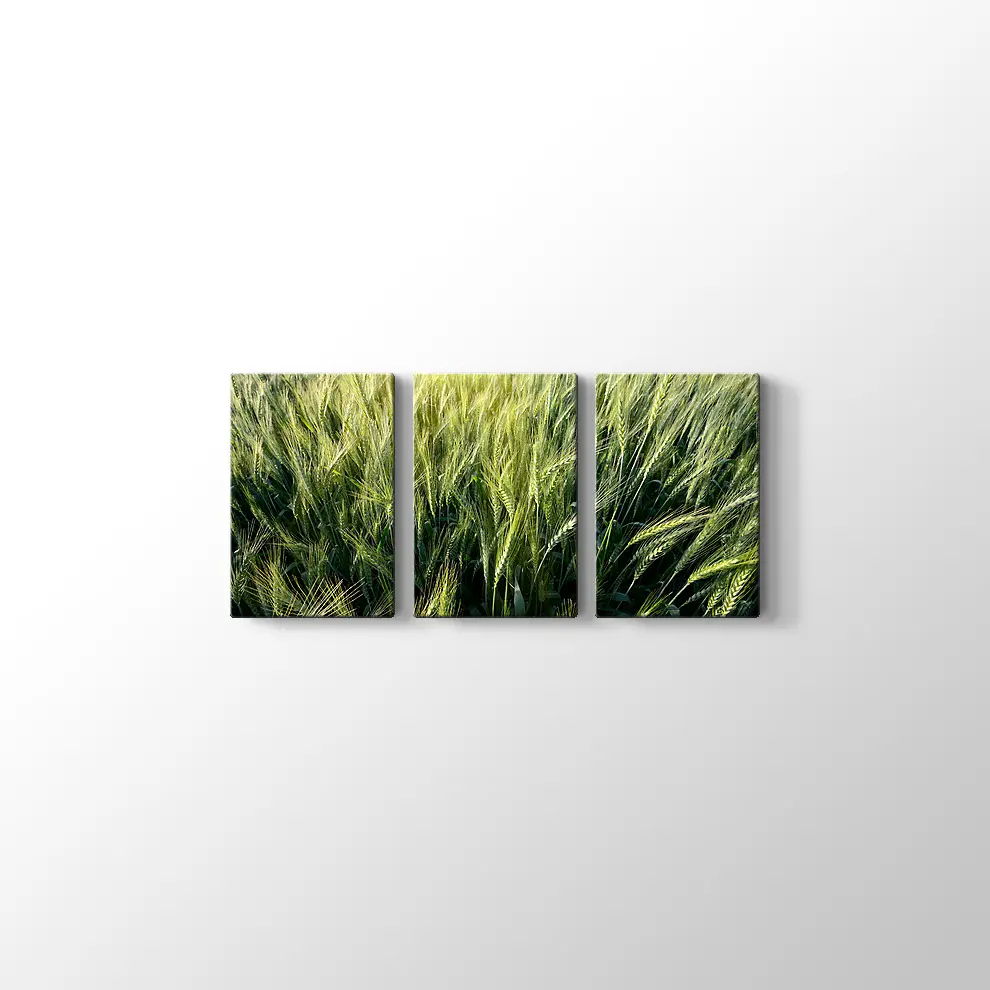 Yeşillik Kanvas Tablo