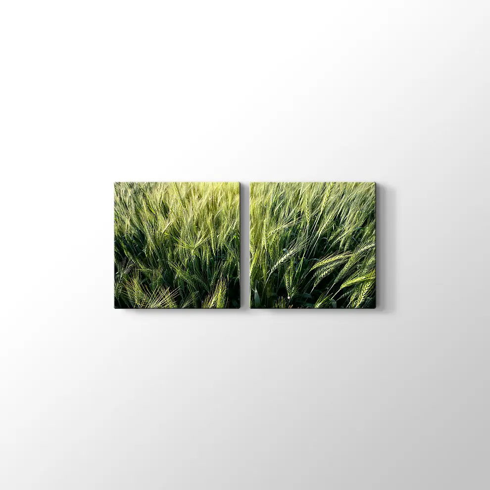 Yeşillik Kanvas Tablo