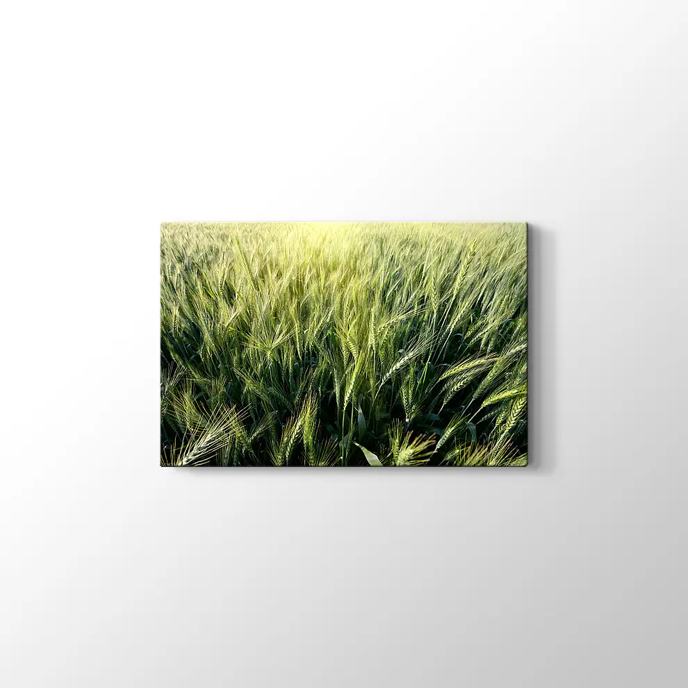 Yeşillik Kanvas Tablo