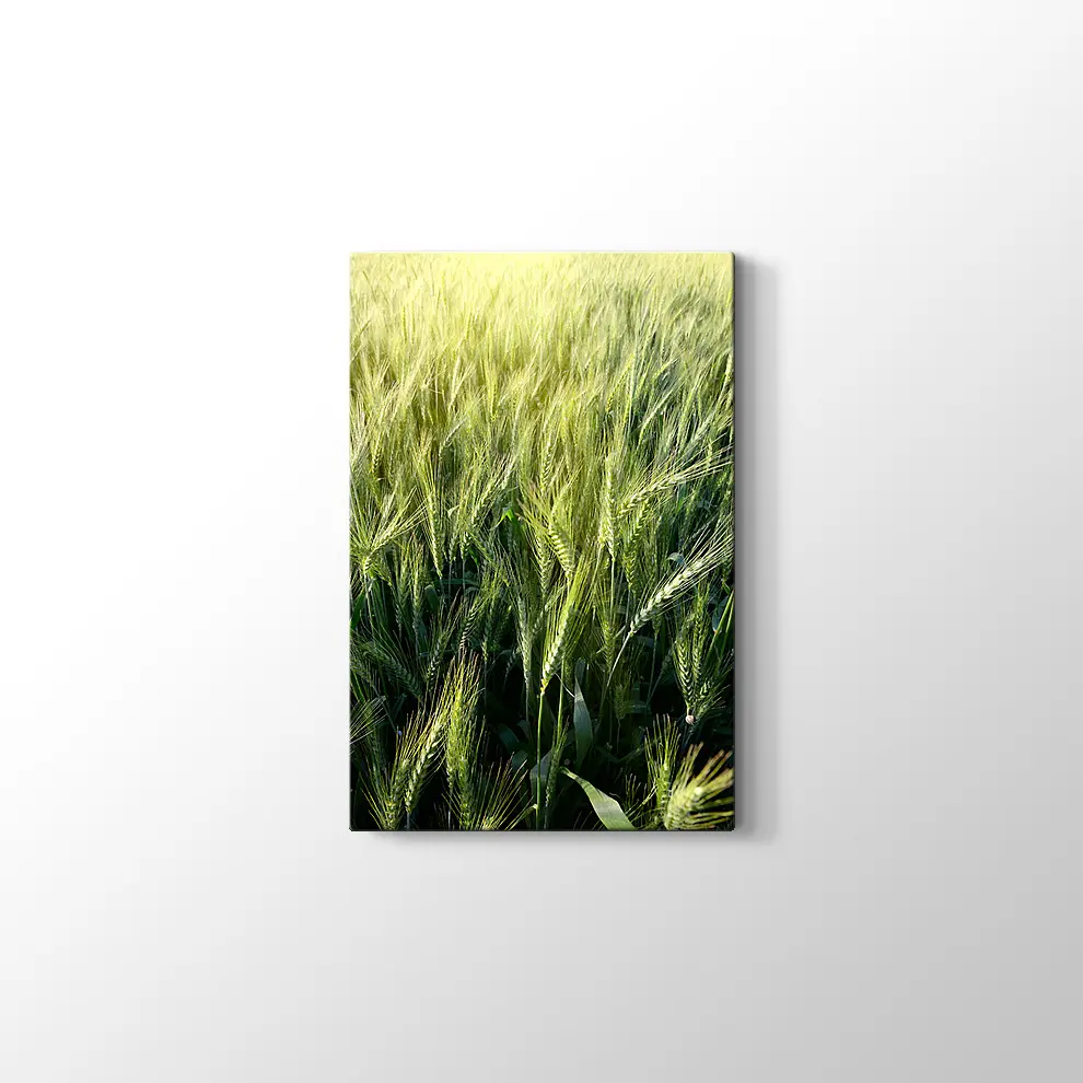 Yeşillik Kanvas Tablo