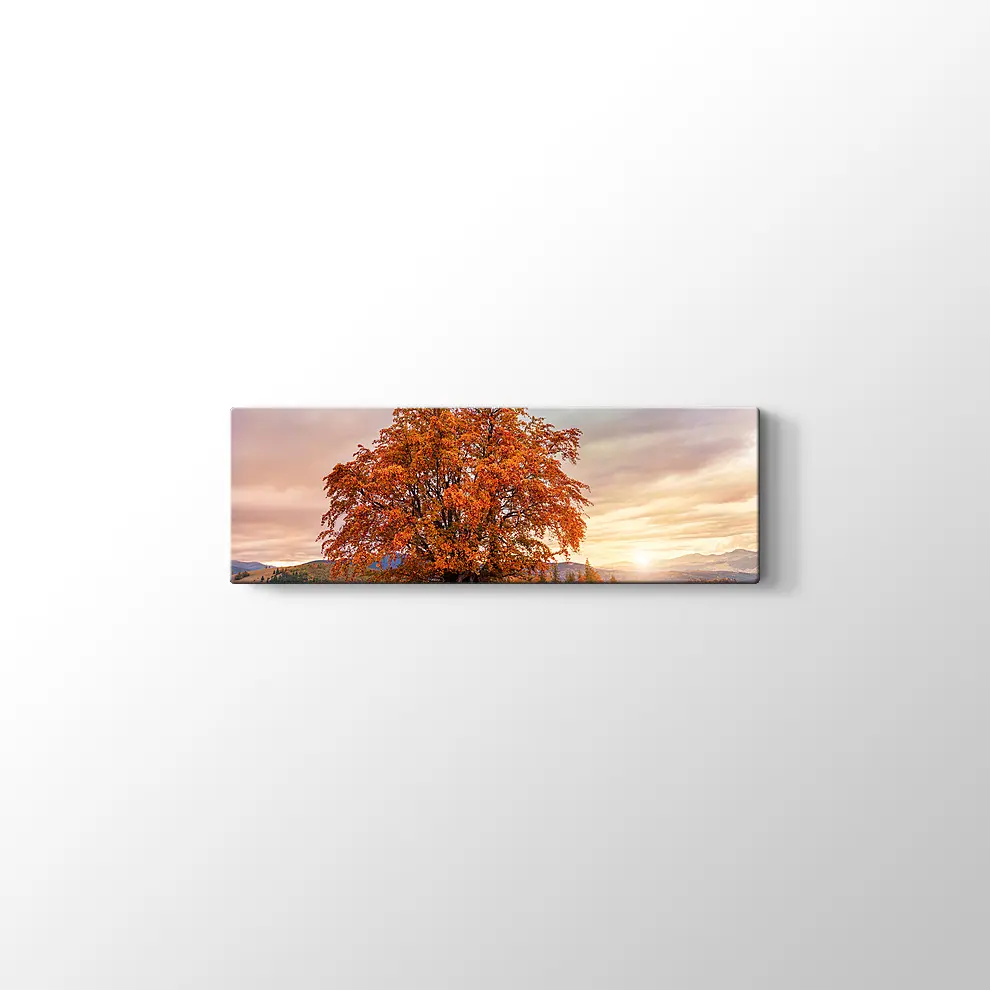 Karpatlar'da Sonbahar Tablosu