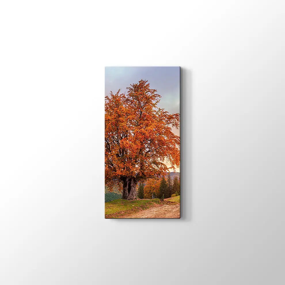 Karpatlar'da Sonbahar Tablosu