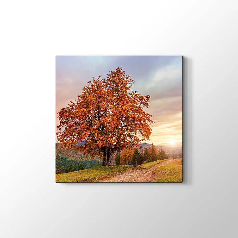 Karpatlar'da Sonbahar Tablosu