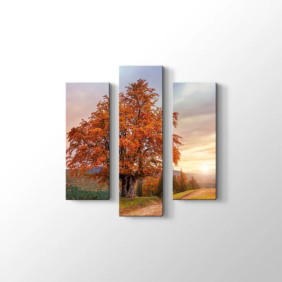 Karpatlar'da Sonbahar Tablosu