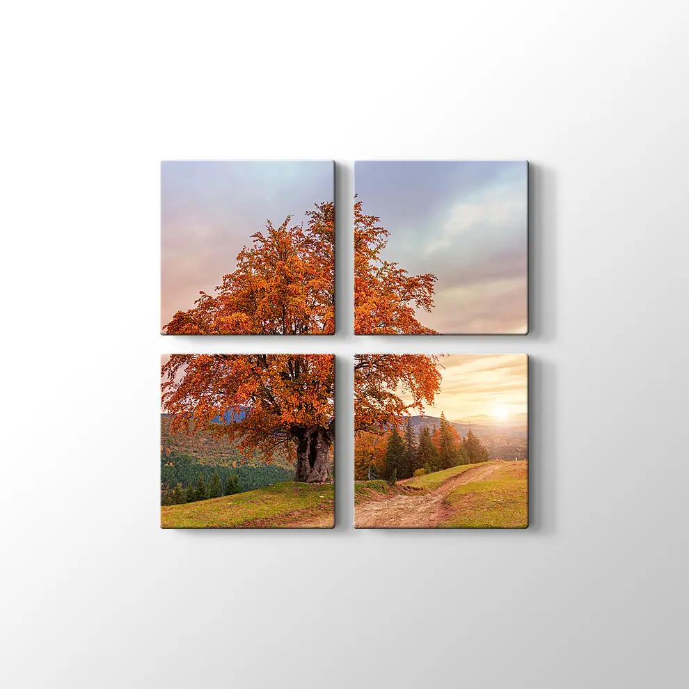 Karpatlar'da Sonbahar Tablosu