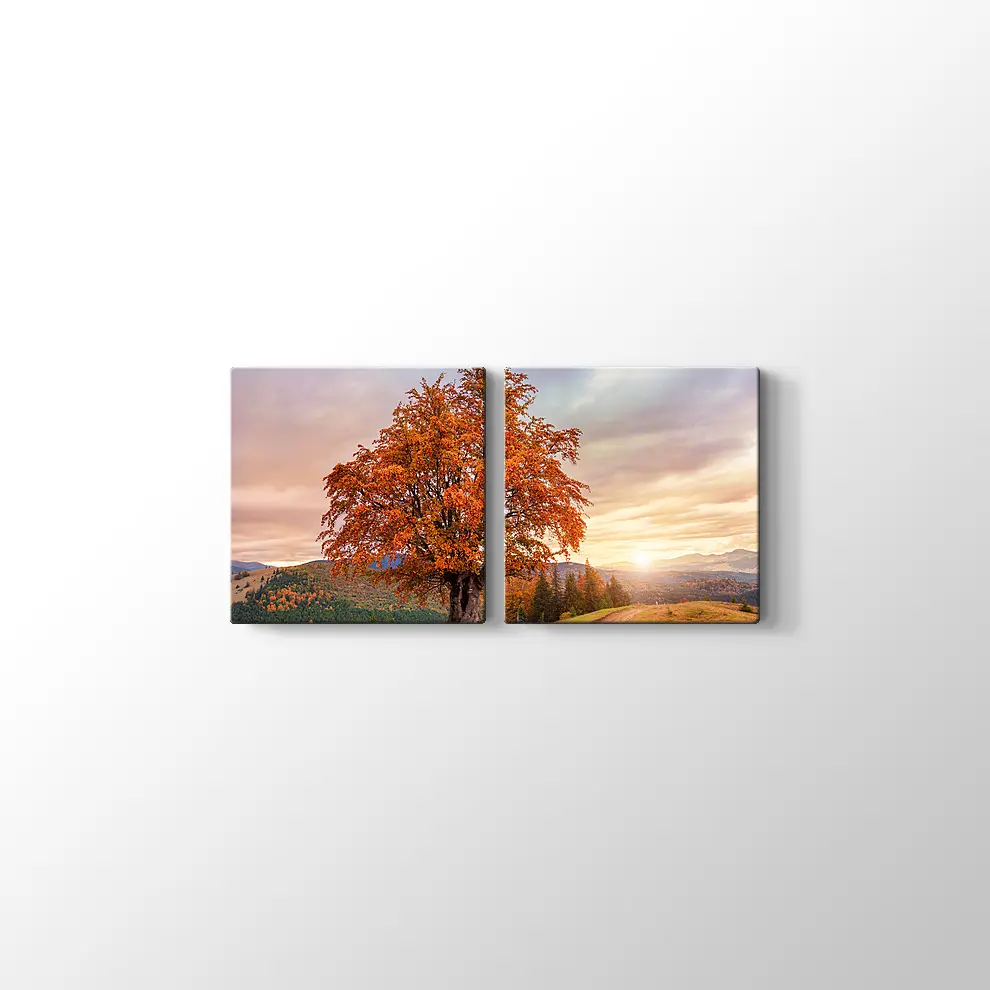 Karpatlar'da Sonbahar Tablosu