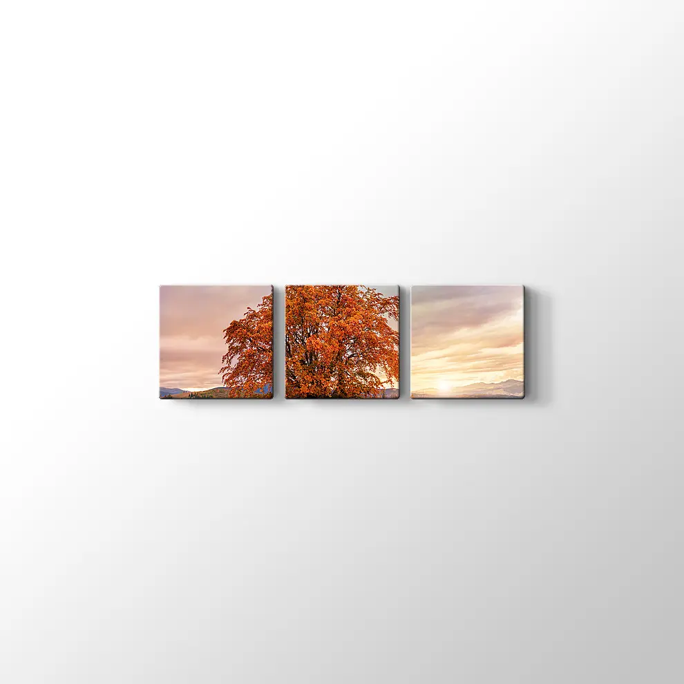 Karpatlar'da Sonbahar Tablosu