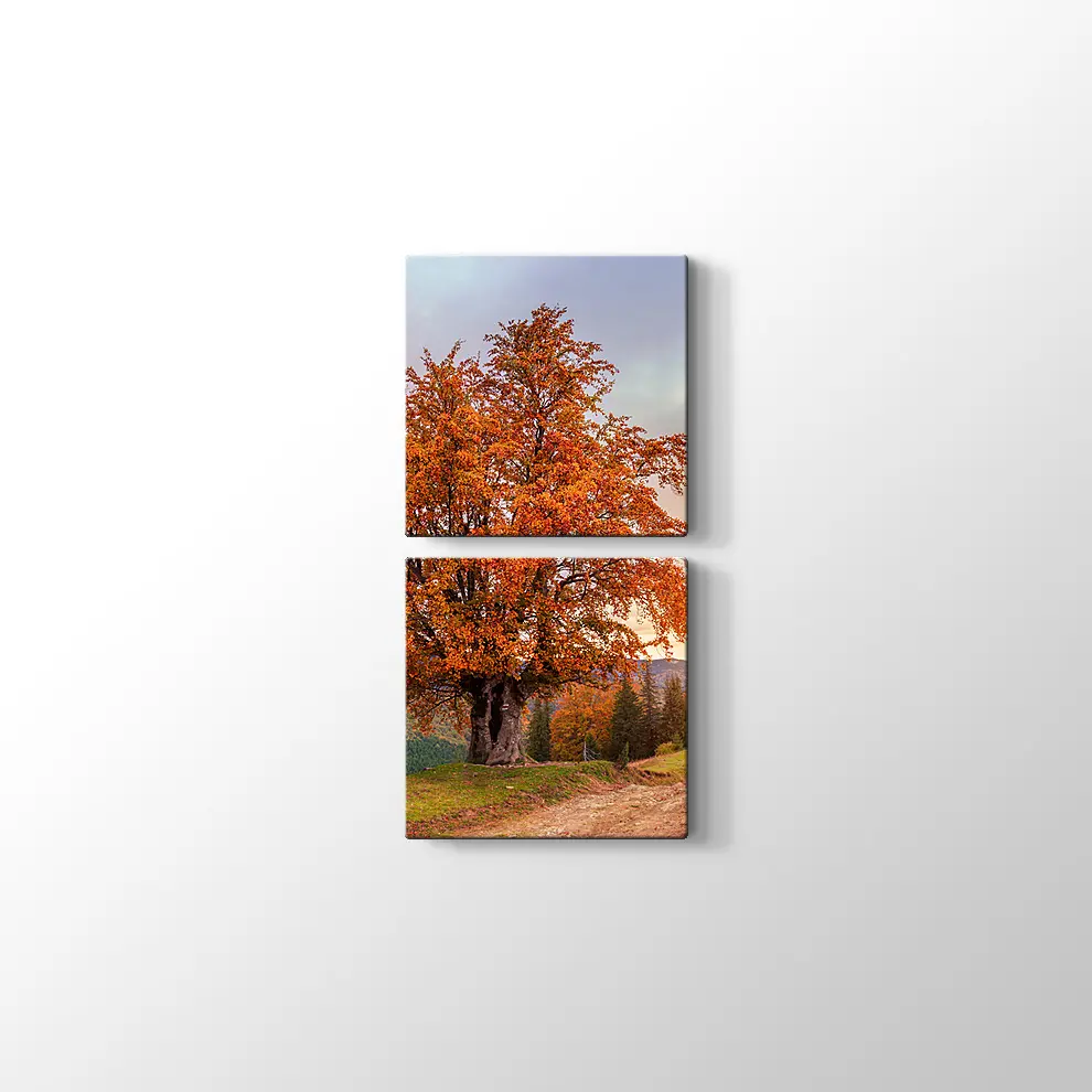 Karpatlar'da Sonbahar Tablosu