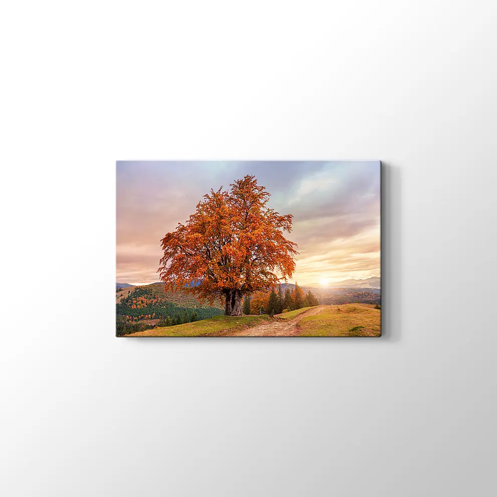 Karpatlar'da Sonbahar Tablosu