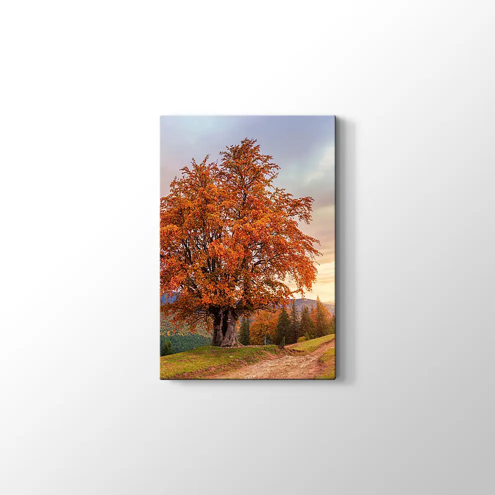 Karpatlar'da Sonbahar Tablosu