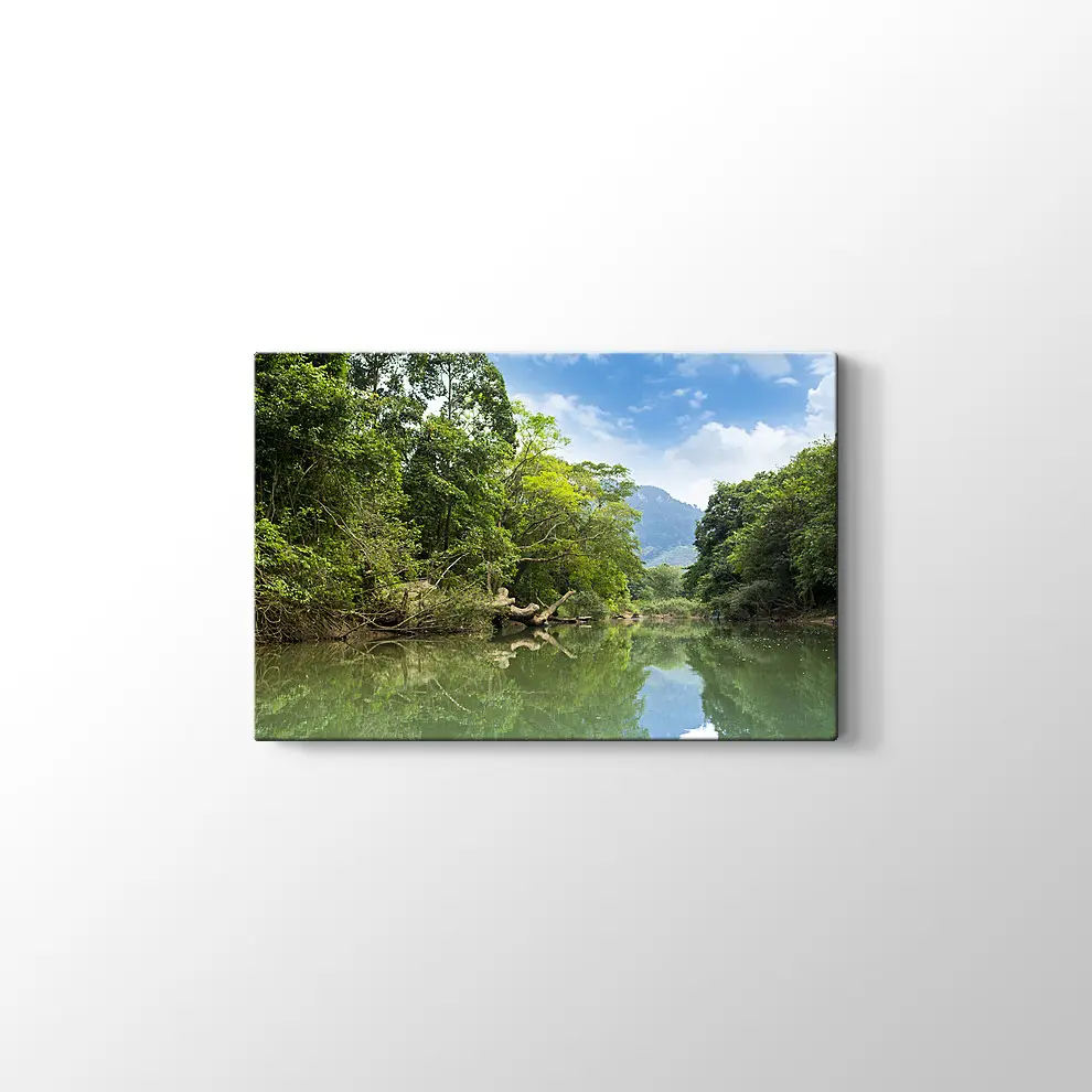 Yeşil Göl Kanvas Tablo