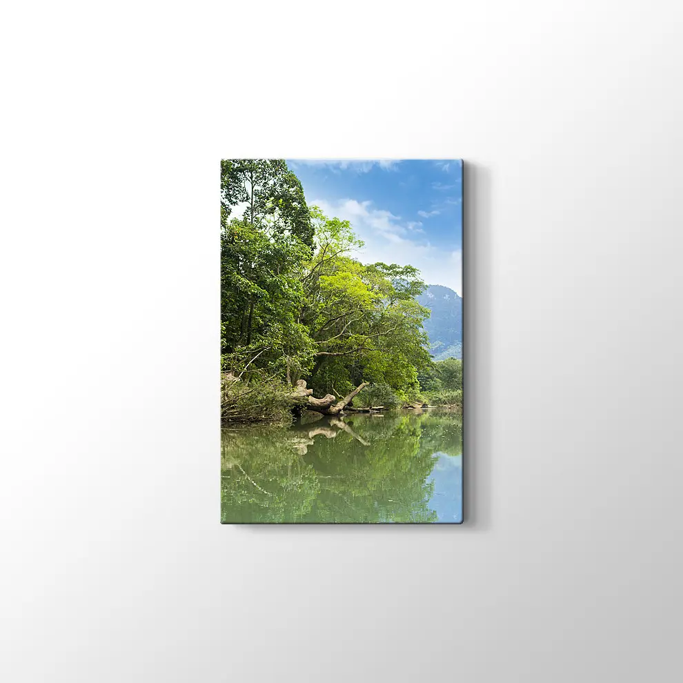 Yeşil Göl Kanvas Tablo