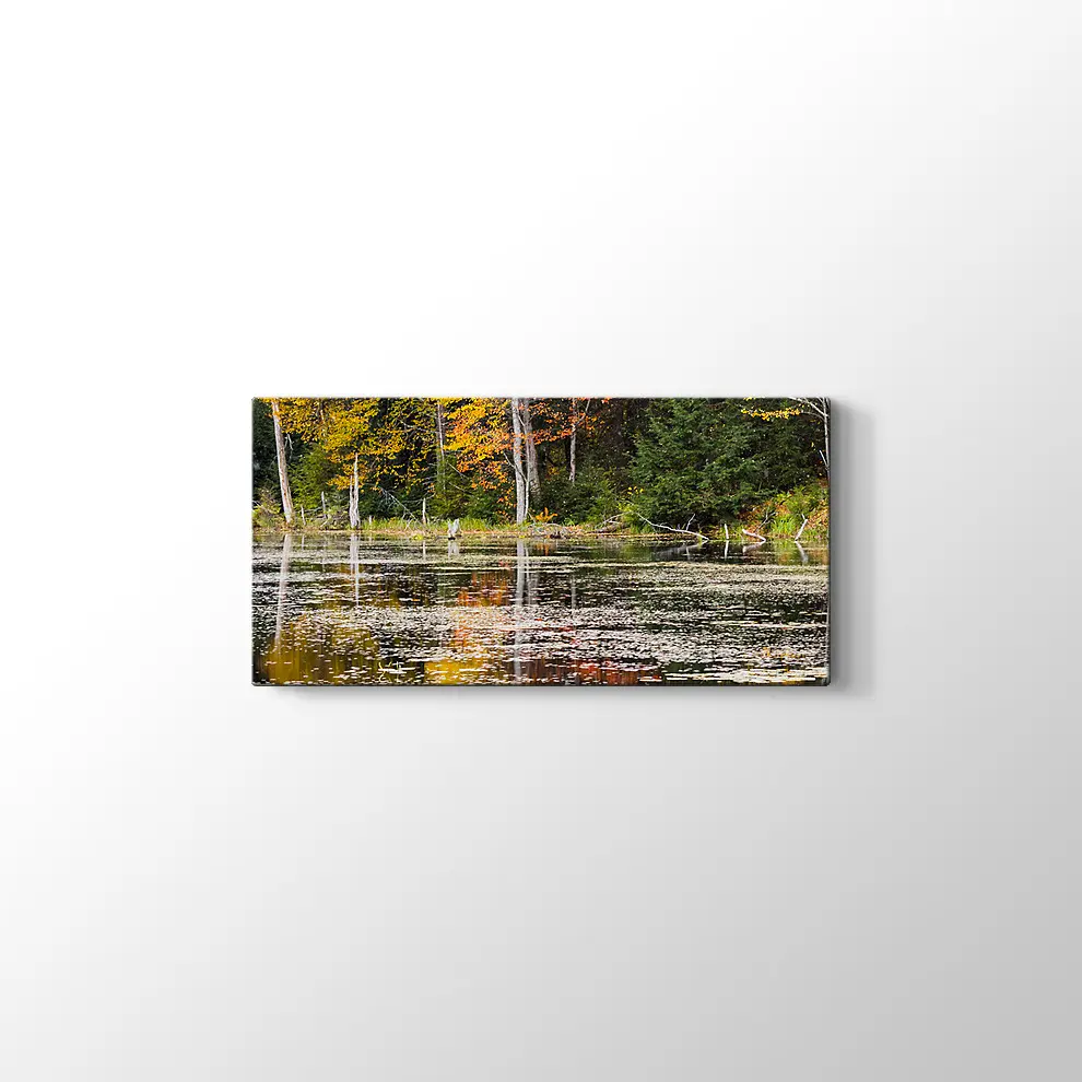 Göl Manzarası Kanvas Tablo