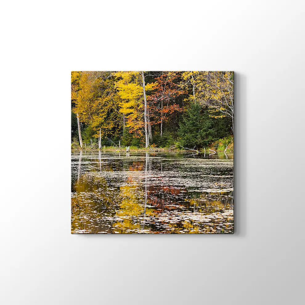 Göl Manzarası Kanvas Tablo