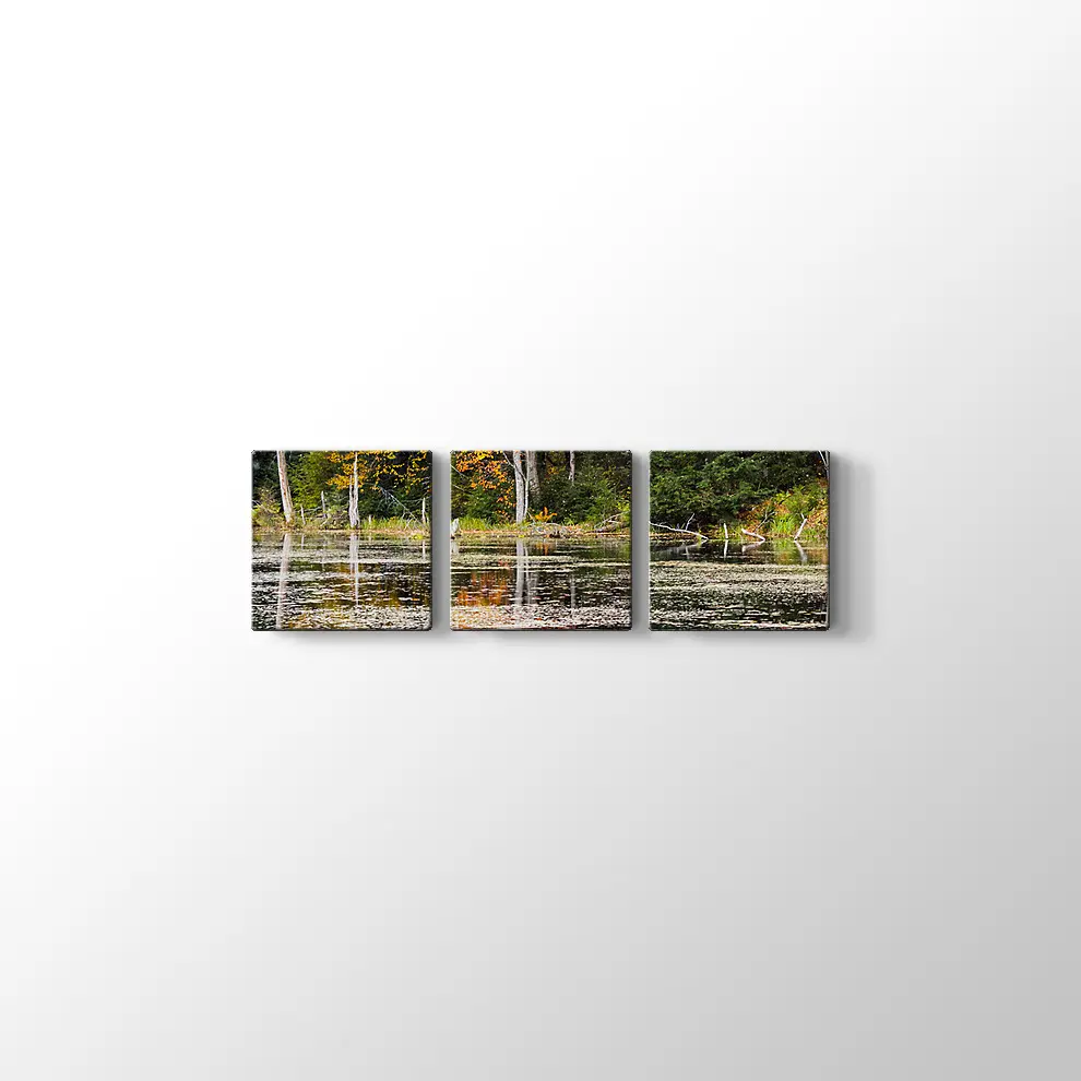 Göl Manzarası Kanvas Tablo