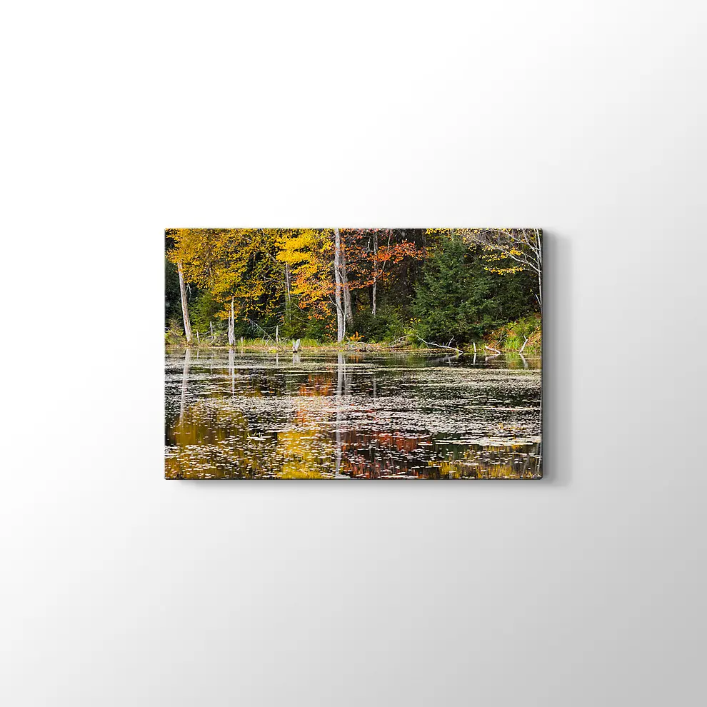 Göl Manzarası Kanvas Tablo