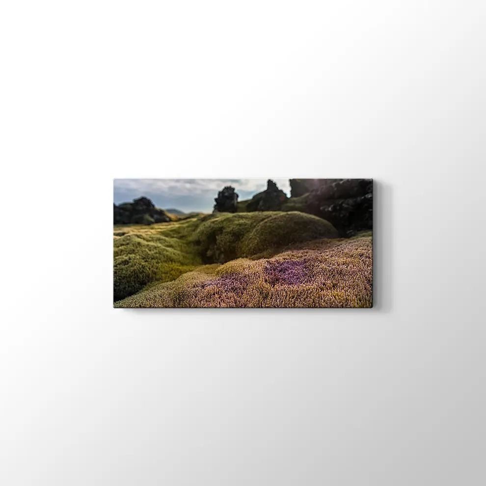 İzlanda Doğa Kanvas Tablo