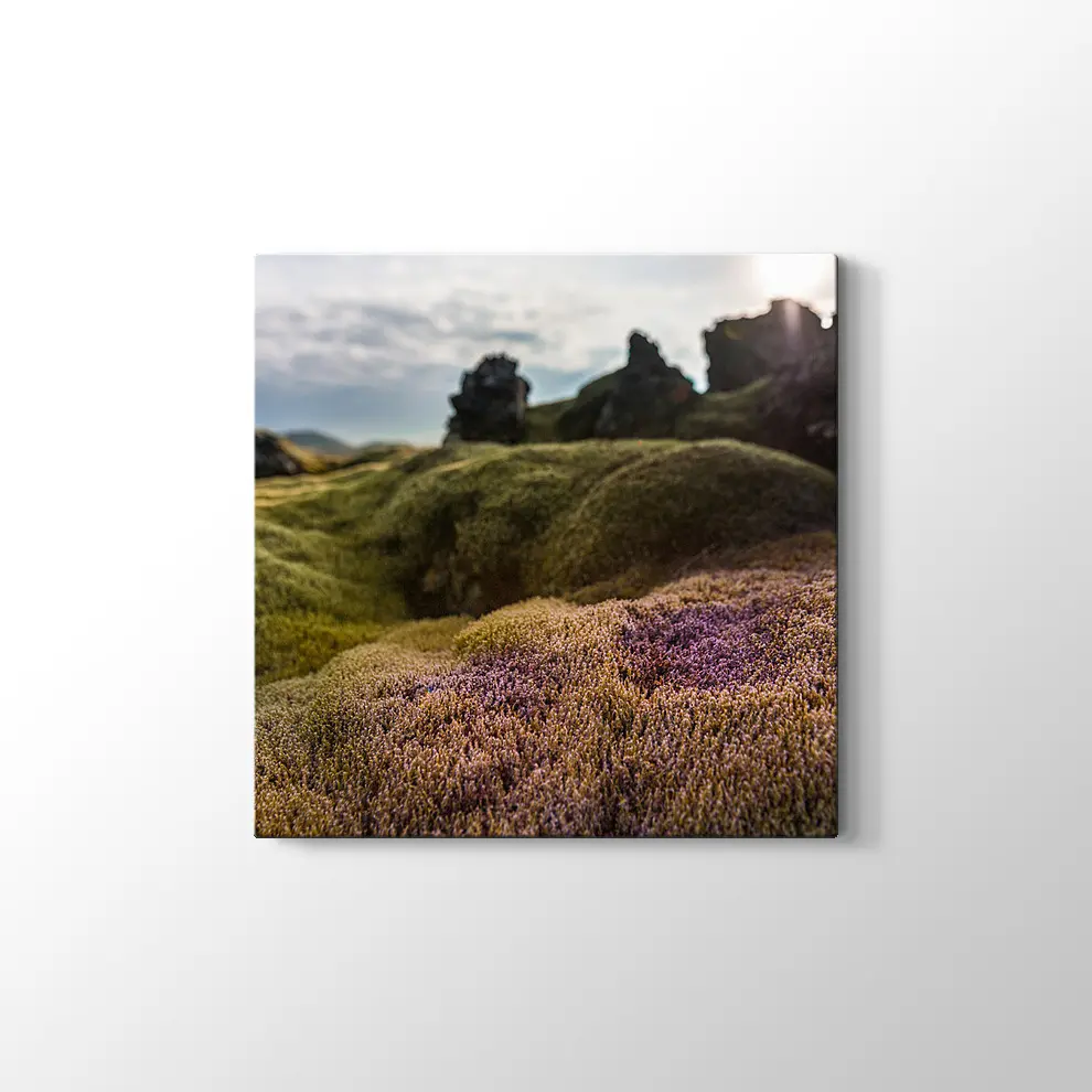 İzlanda Doğa Kanvas Tablo