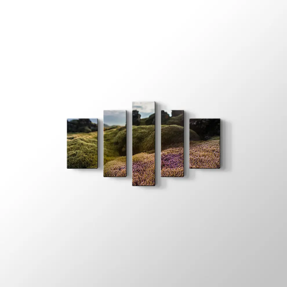 İzlanda Doğa Kanvas Tablo