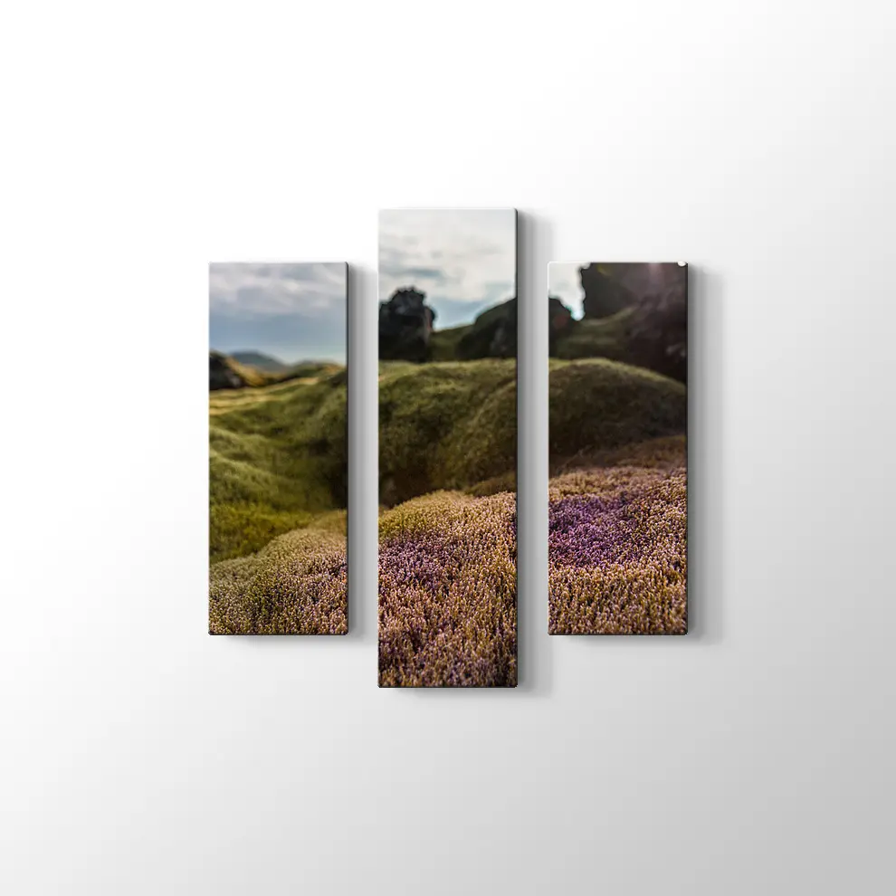 İzlanda Doğa Kanvas Tablo