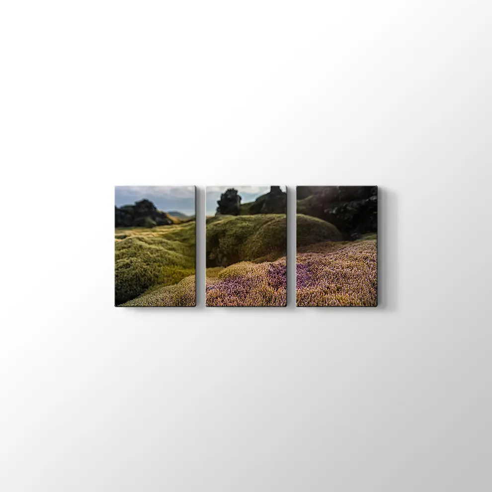 İzlanda Doğa Kanvas Tablo