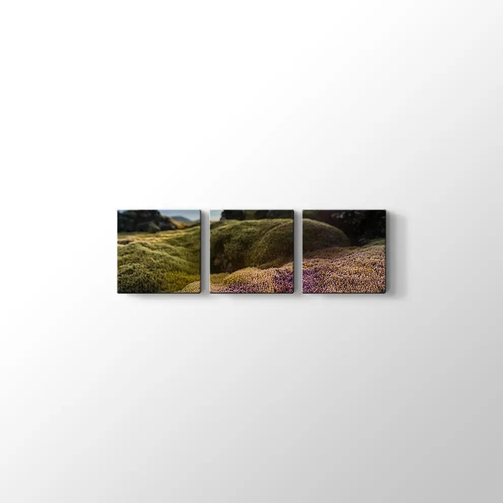 İzlanda Doğa Kanvas Tablo