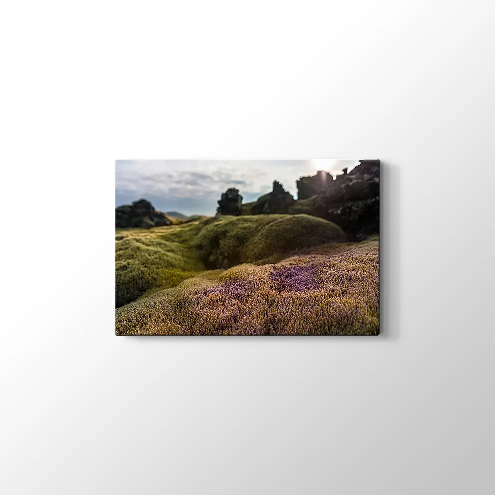 İzlanda Doğa Kanvas Tablo