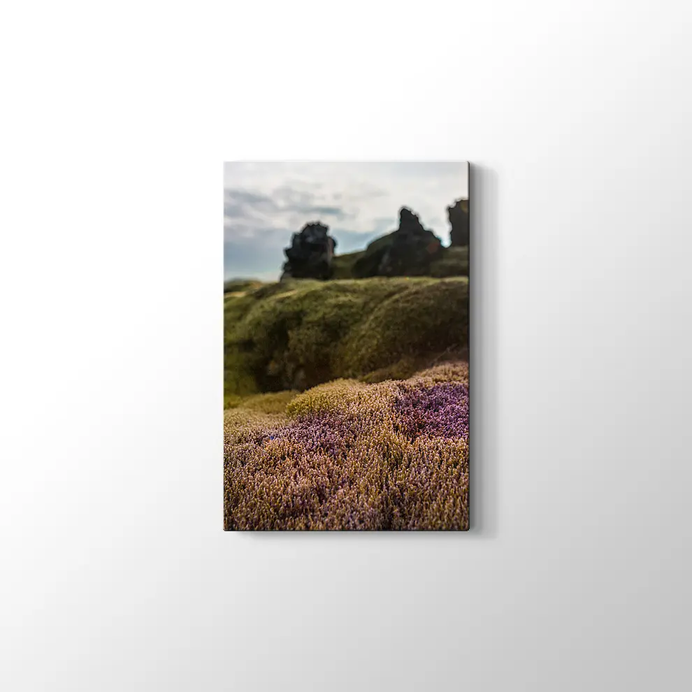 İzlanda Doğa Kanvas Tablo