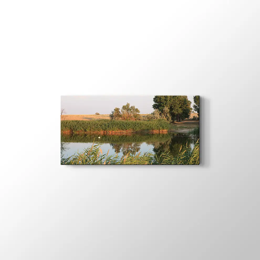 Sazlık Kanvas Tablo