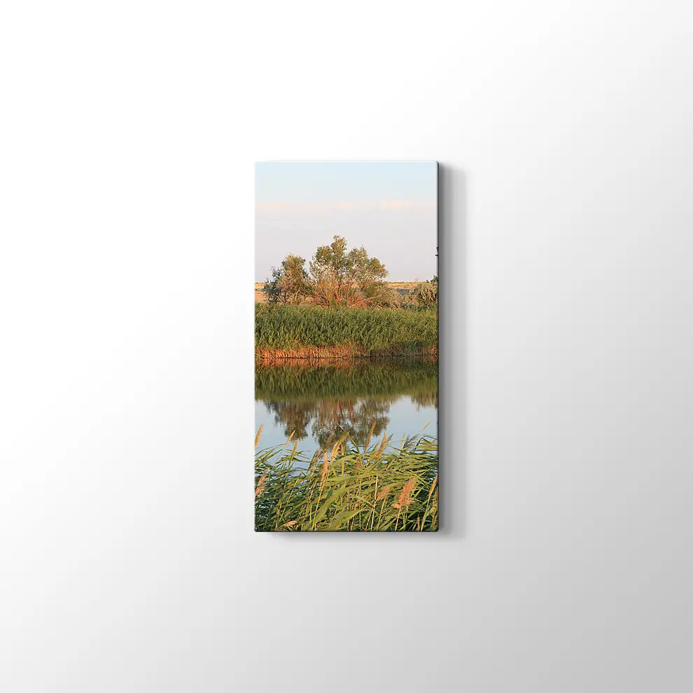 Sazlık Kanvas Tablo