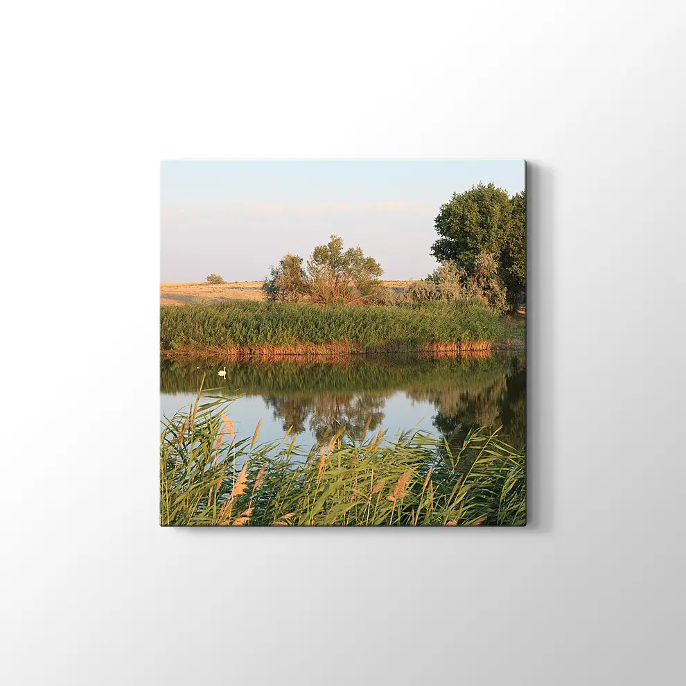 Sazlık Kanvas Tablo