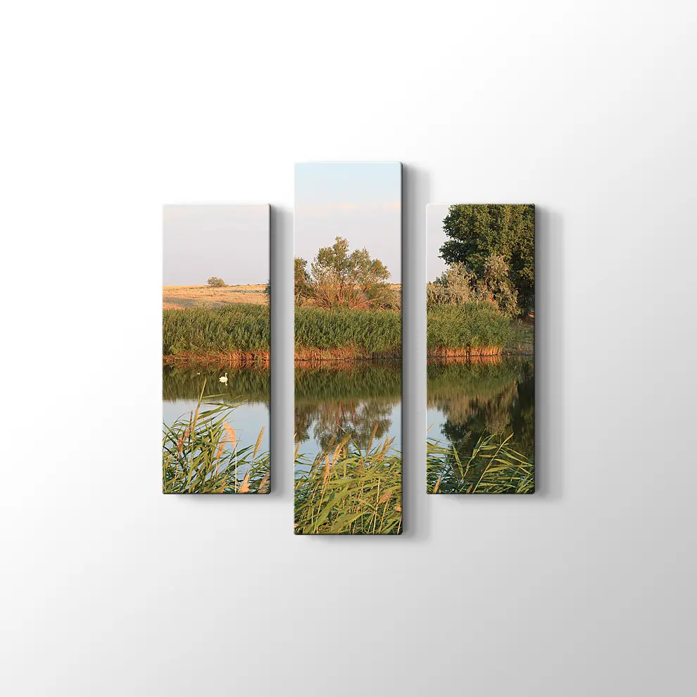 Sazlık Kanvas Tablo