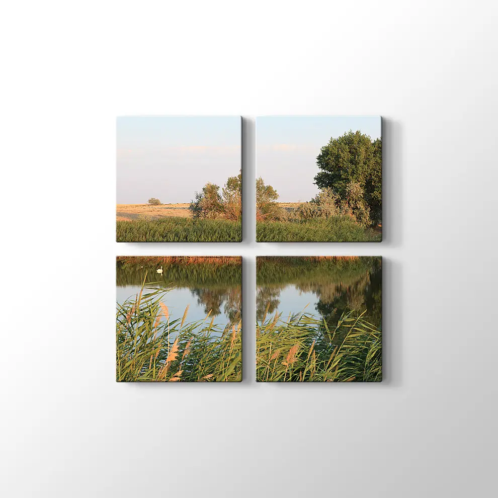 Sazlık Kanvas Tablo