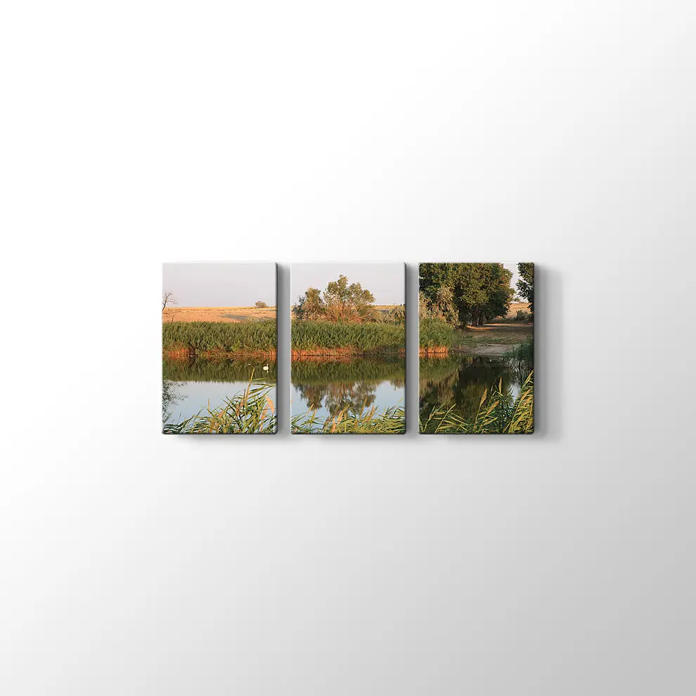 Sazlık Kanvas Tablo