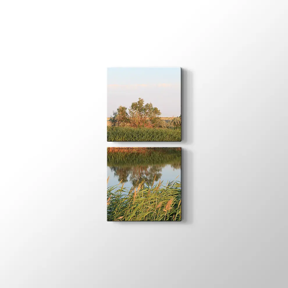 Sazlık Kanvas Tablo